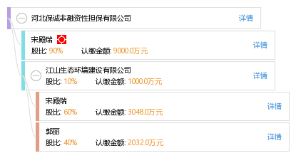 河北保誠非融資性擔保 專注非融資性擔保服務，助力區域經濟穩健發展