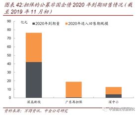透過城投與非國企債擔保，解析專業擔保公司信用風險跟蹤