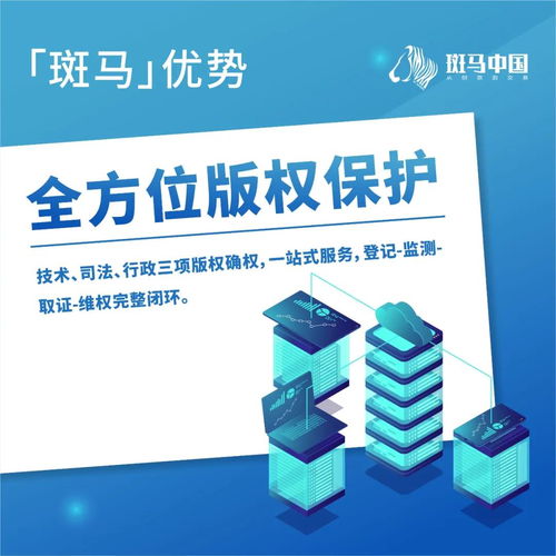 解讀斑馬 卓越的項目策劃與公關服務優(yōu)勢