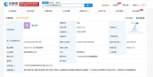廣告設(shè)計(jì)的藝術(shù)與策略 從概念到溝通的創(chuàng)意之旅